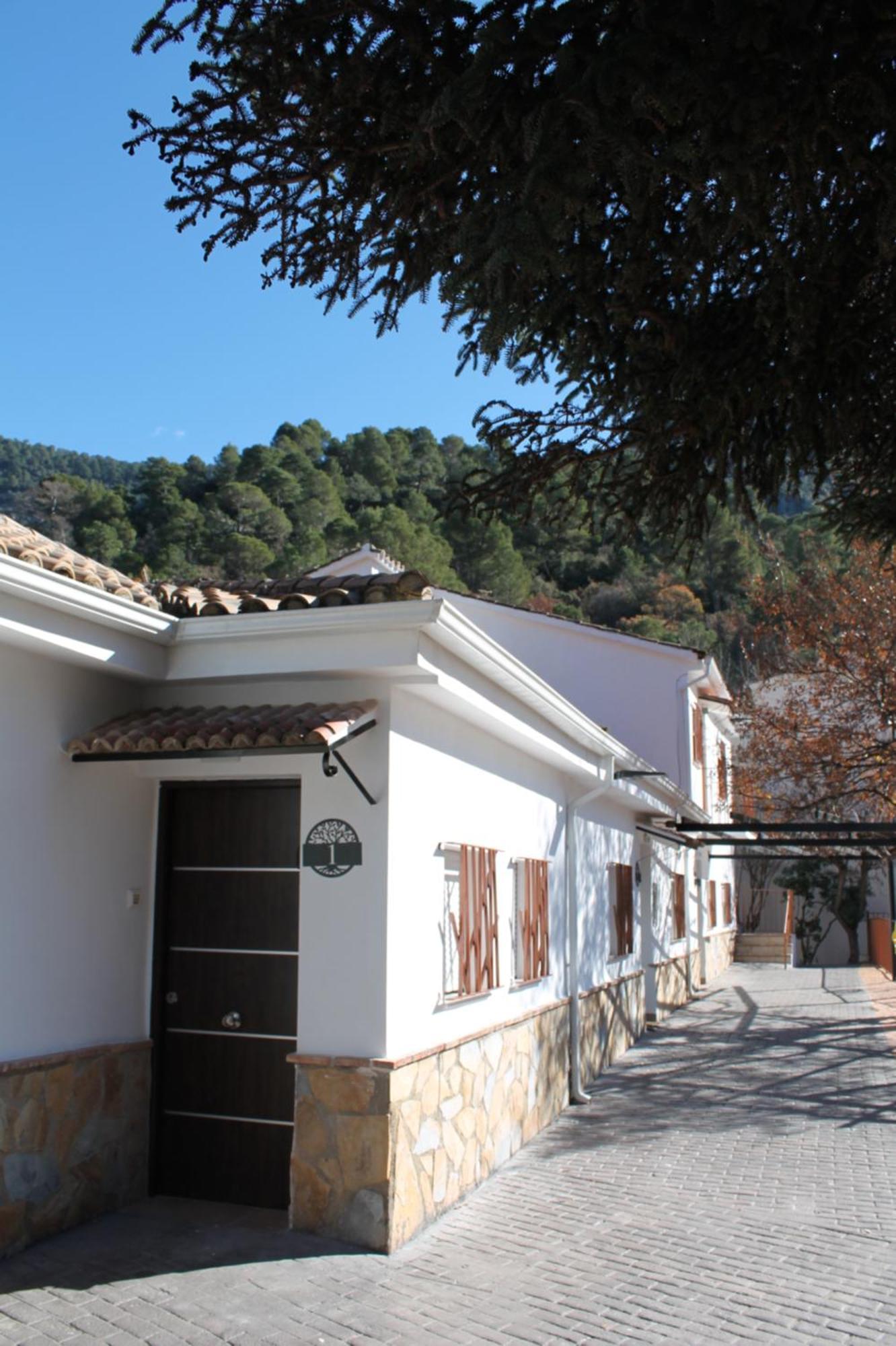 Cazorla Natura - Nuevos 2025 - 6 Turisticos- * Arroyo Frio